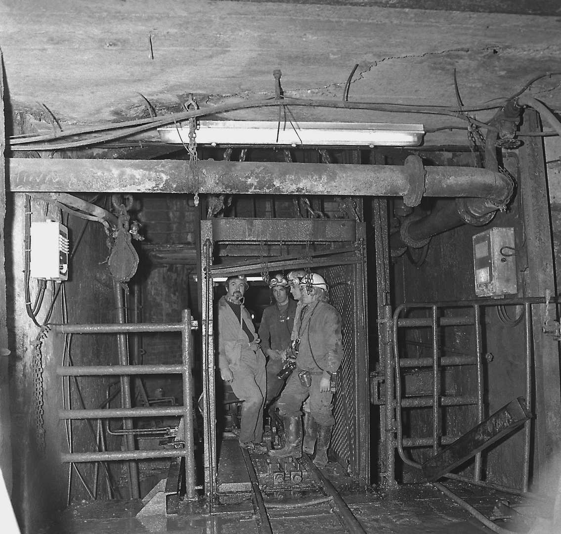 Visitor in cage LAdywash 10.3.79